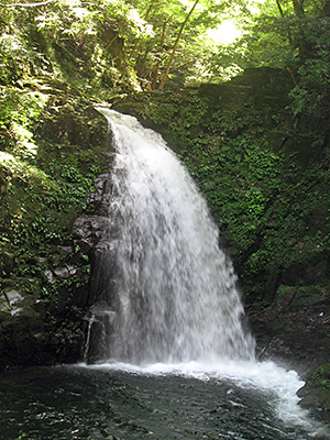 The Akame 48 Waterfalls